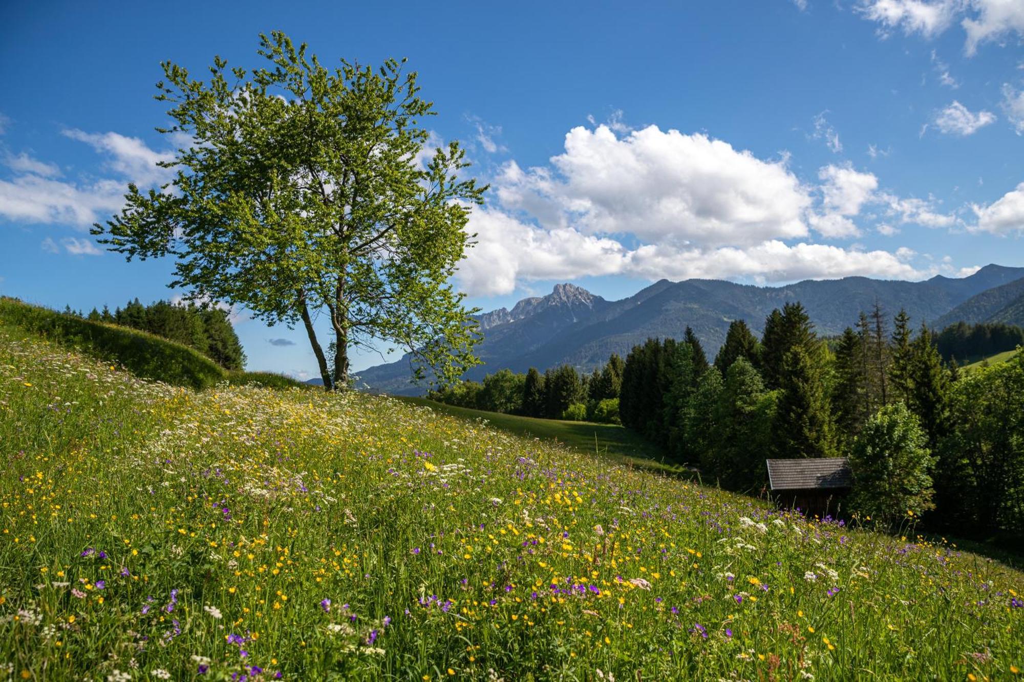 Hotel Krone Tirol Reutte Exterior foto